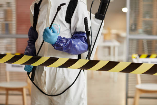 Professional Biohazard technician working in Lake Helen, FL